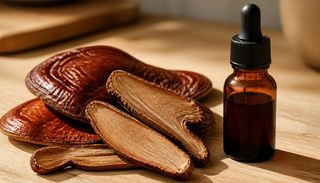 Les triterpènes du Reishi : ce que sont les acides ganodériques